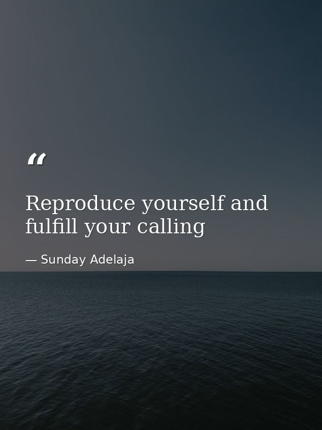 Reproduce yourself and fulfill your calling — Sunday Adelaja