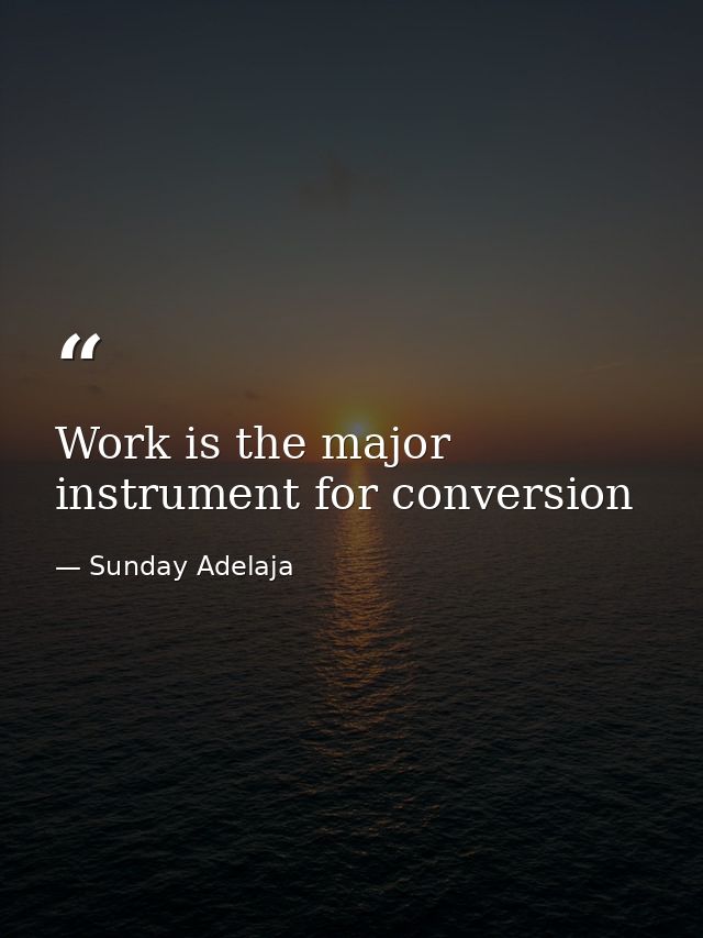 Work is the major instrument for conversion — Sunday Adelaja