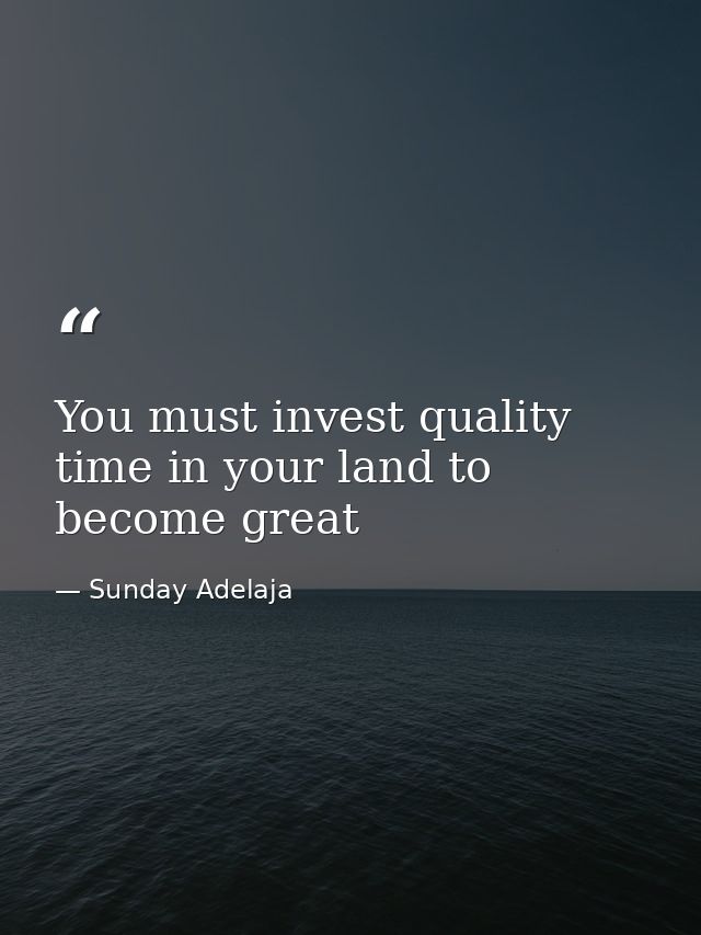 You must invest quality time in your land to become great — Sunday Adelaja