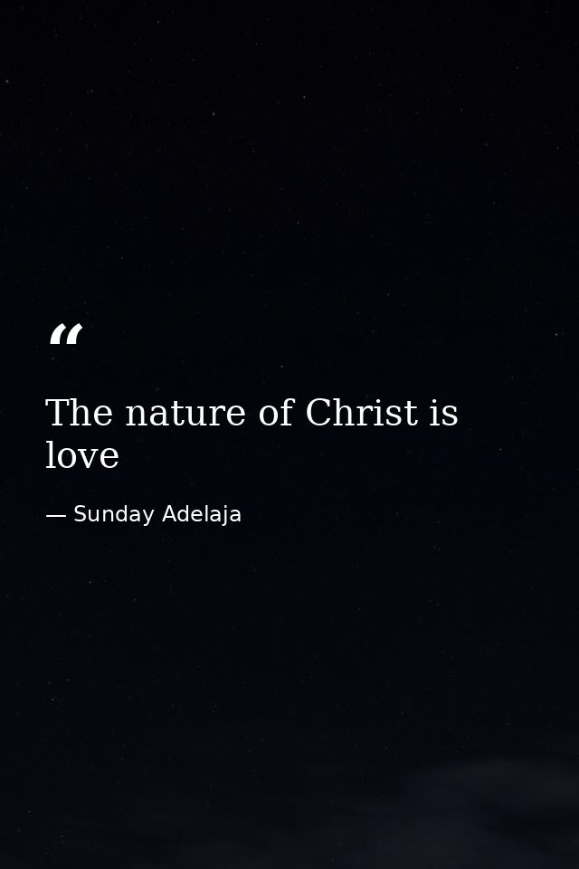 The nature of Christ is love — Sunday Adelaja