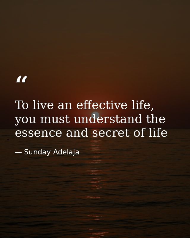 To live an effective life, you must understand the essence and secret of life — Sunday Adelaja