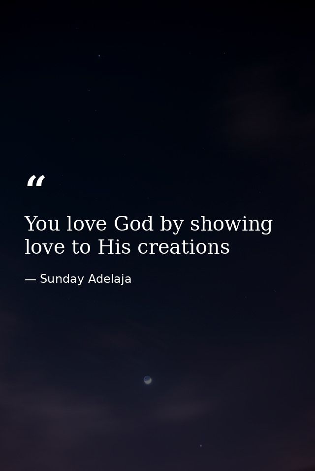 You love God by showing love to His creations — Sunday Adelaja