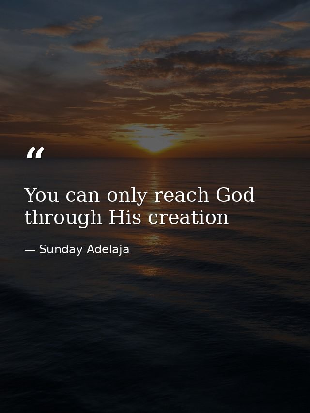 You can only reach God through His creation — Sunday Adelaja