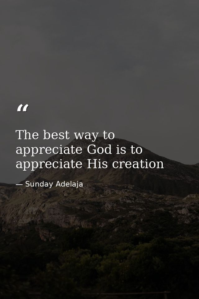 The best way to appreciate God is to appreciate His creation — Sunday Adelaja