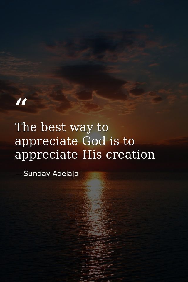 The best way to appreciate God is to appreciate His creation — Sunday Adelaja