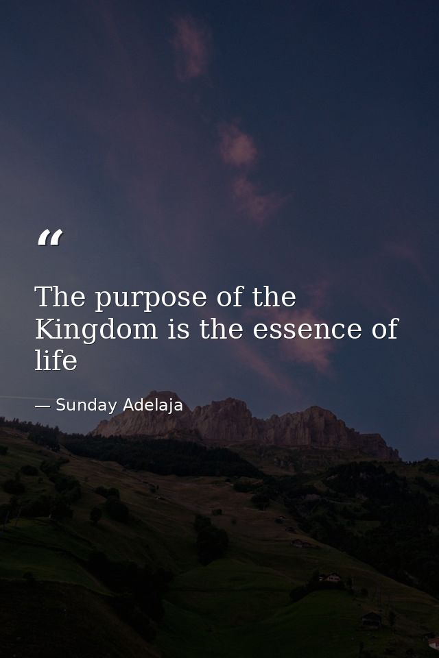 The purpose of the Kingdom is the essence of life — Sunday Adelaja