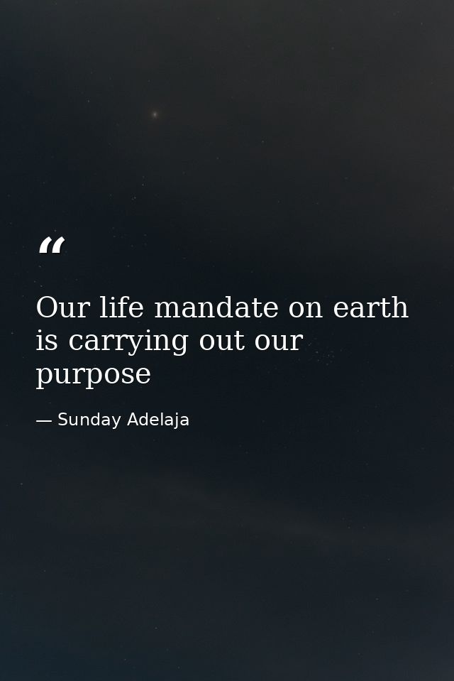 Our life mandate on earth is carrying out our purpose — Sunday Adelaja