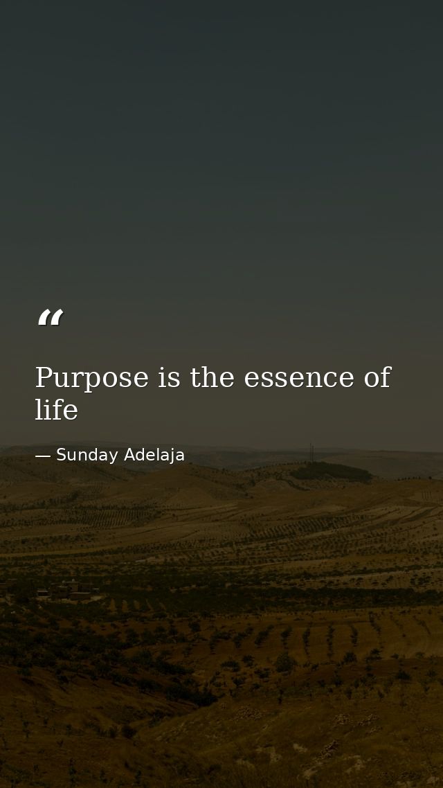 Purpose is the essence of life — Sunday Adelaja