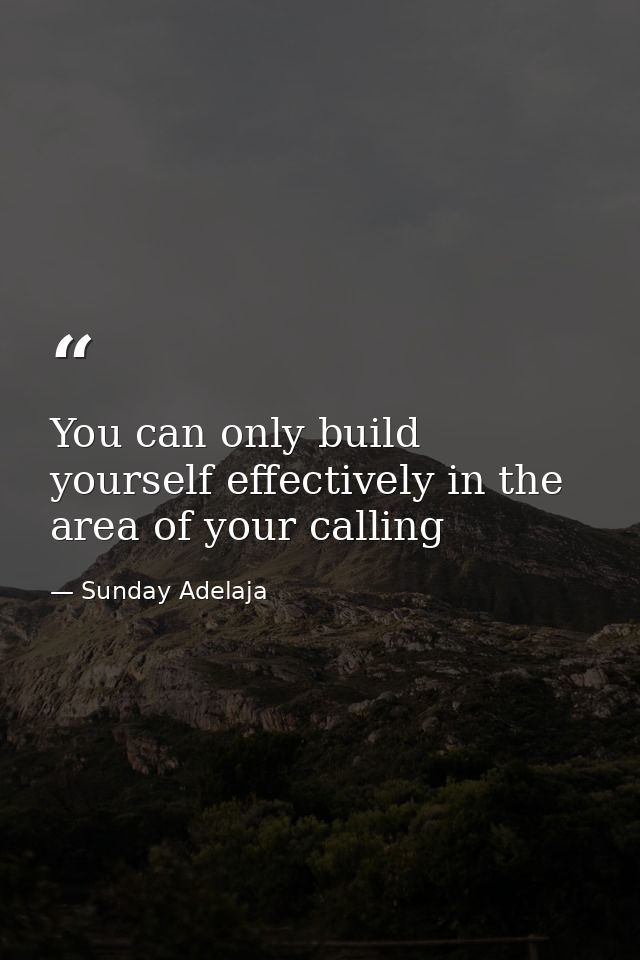 You can only build yourself effectively in the area of your calling — Sunday Adelaja
