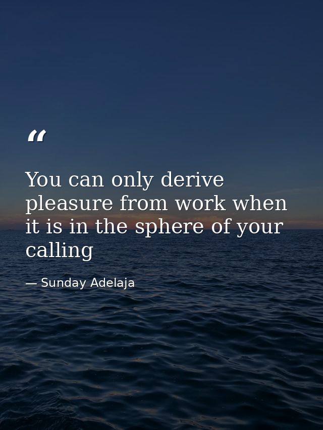 You can only derive pleasure from work when it is in the sphere of your calling — Sunday Adelaja