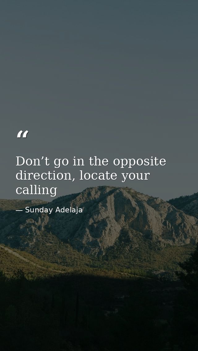 Don’t go in the opposite direction, locate your calling — Sunday Adelaja