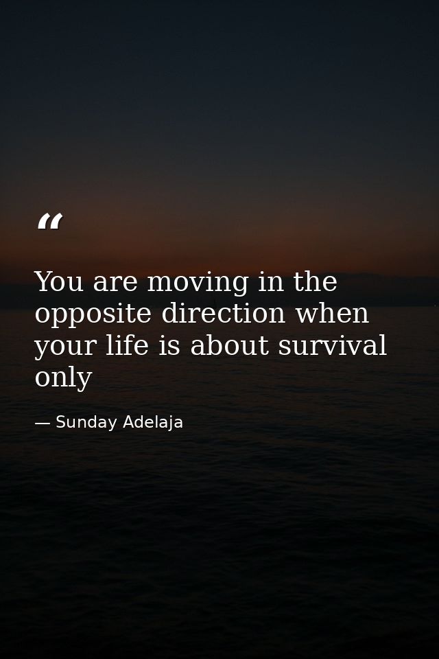 You are moving in the opposite direction when your life is about survival only — Sunday Adelaja