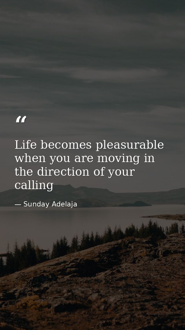 Life becomes pleasurable when you are moving in the direction of your calling — Sunday Adelaja