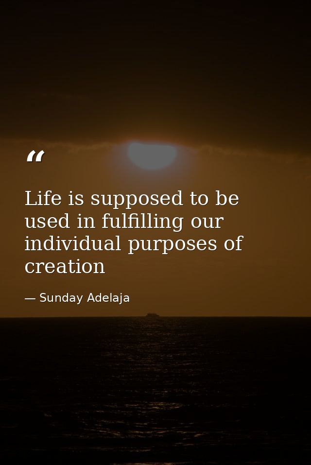 Life is supposed to be used in fulfilling our individual purposes of creation — Sunday Adelaja