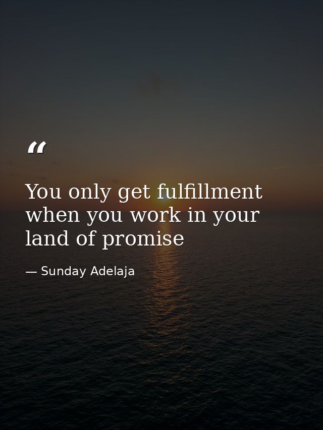 You only get fulfillment when you work in your land of promise — Sunday Adelaja
