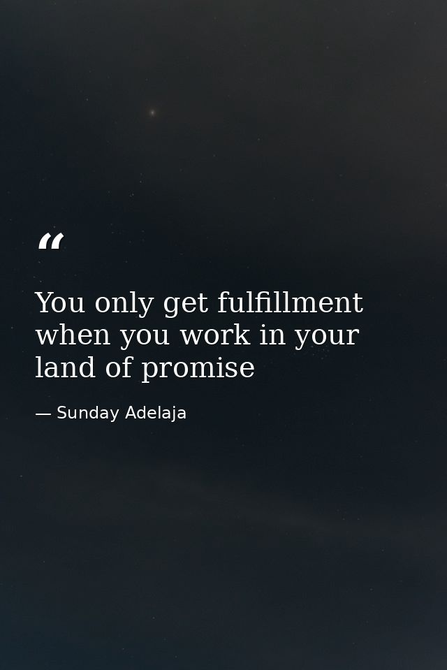 You only get fulfillment when you work in your land of promise — Sunday Adelaja