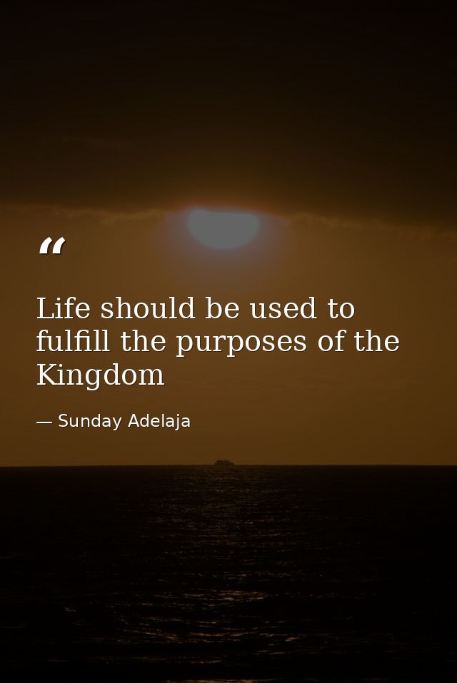 Life should be used to fulfill the purposes of the Kingdom — Sunday Adelaja