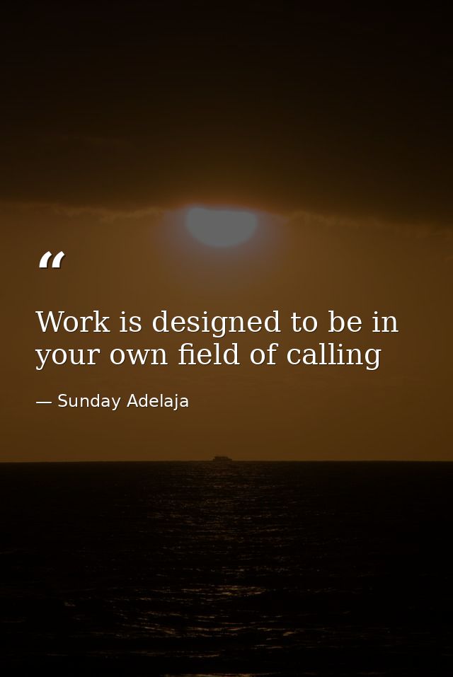 Work is designed to be in your own field of calling — Sunday Adelaja