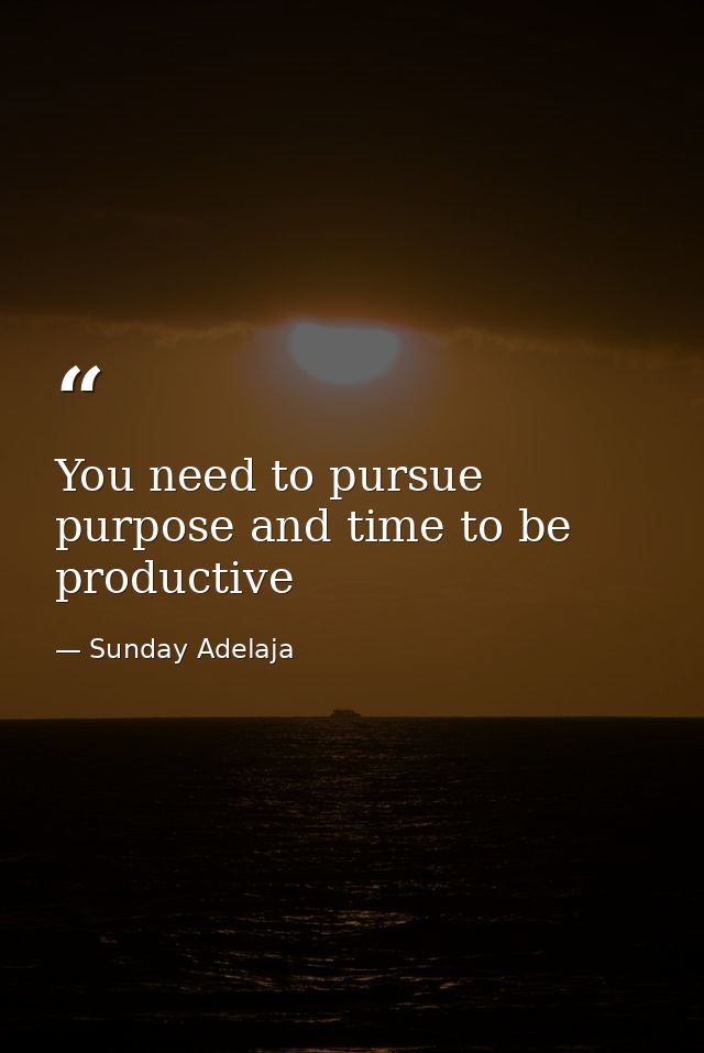 You need to pursue purpose and time to be productive — Sunday Adelaja