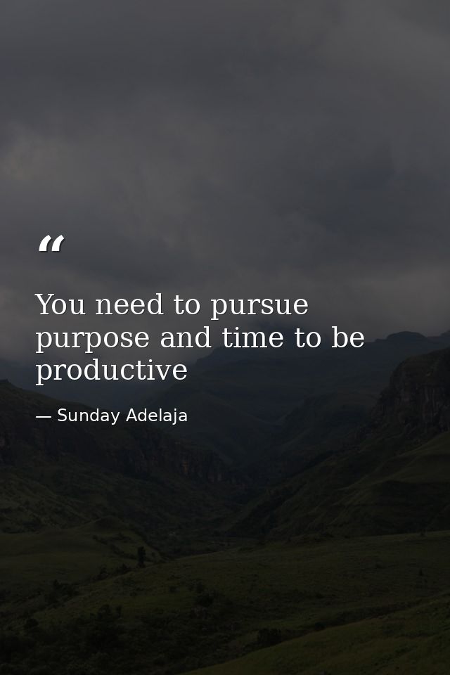 You need to pursue purpose and time to be productive — Sunday Adelaja