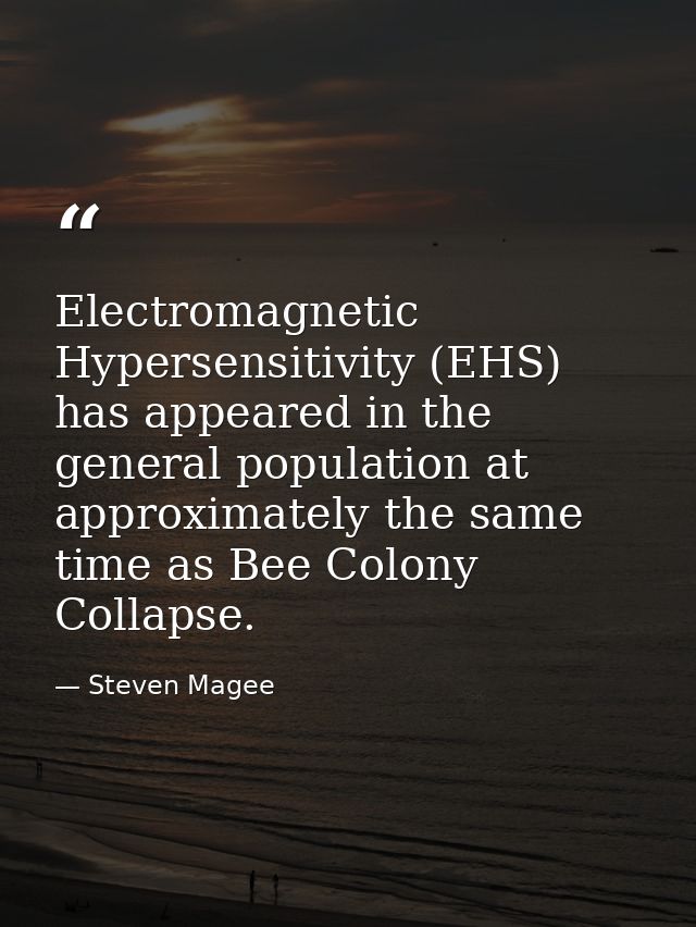 Electromagnetic Hypersensitivity (EHS) has appeared in the general population at approximately the same time as Bee Colo — Steven Magee