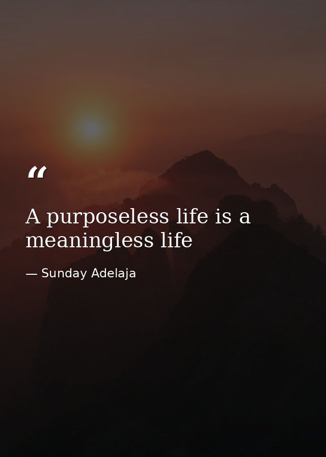 A purposeless life is a meaningless life — Sunday Adelaja
