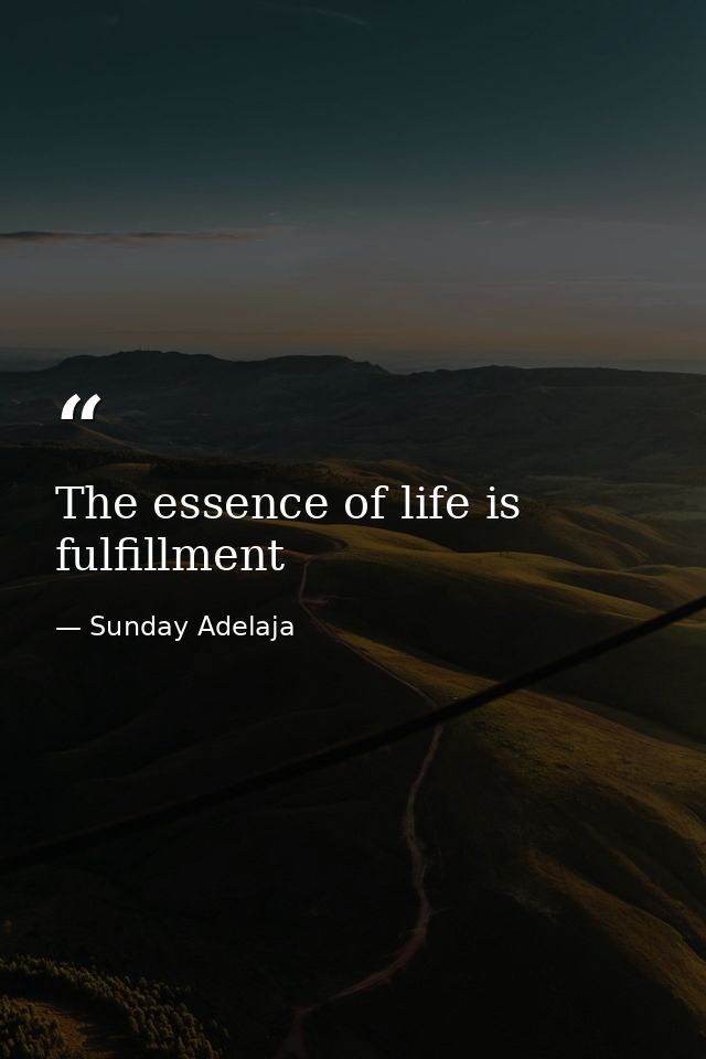 The essence of life is fulfillment — Sunday Adelaja