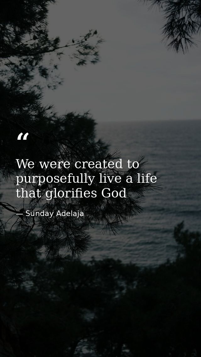 We were created to purposefully live a life that glorifies God — Sunday Adelaja