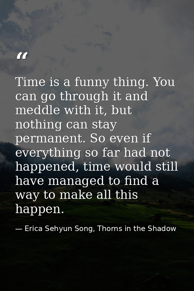 Time is a funny thing. You can go through it and meddle with it, but nothing can stay permanent. So even if everything s — Erica Sehyun Song, Thorns in the Shadow