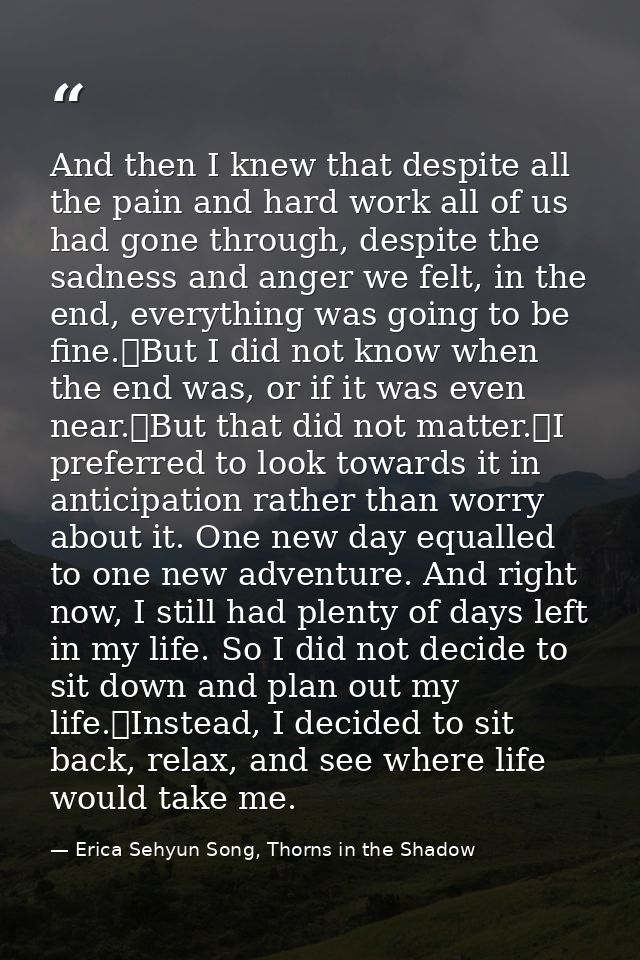 And then I knew that despite all the pain and hard work all of us had gone through, despite the sadness and anger we fel — Erica Sehyun Song, Thorns in the Shadow