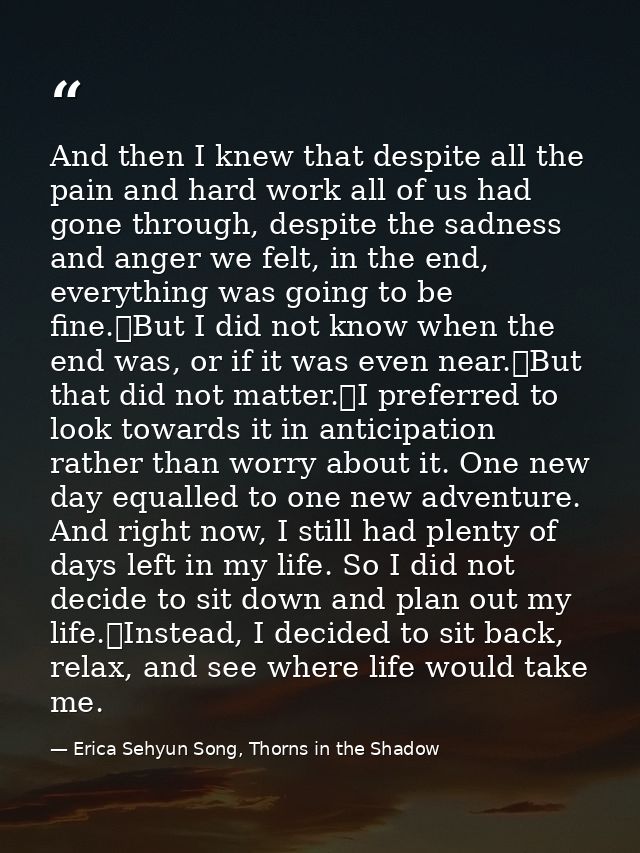 And then I knew that despite all the pain and hard work all of us had gone through, despite the sadness and anger we fel — Erica Sehyun Song, Thorns in the Shadow