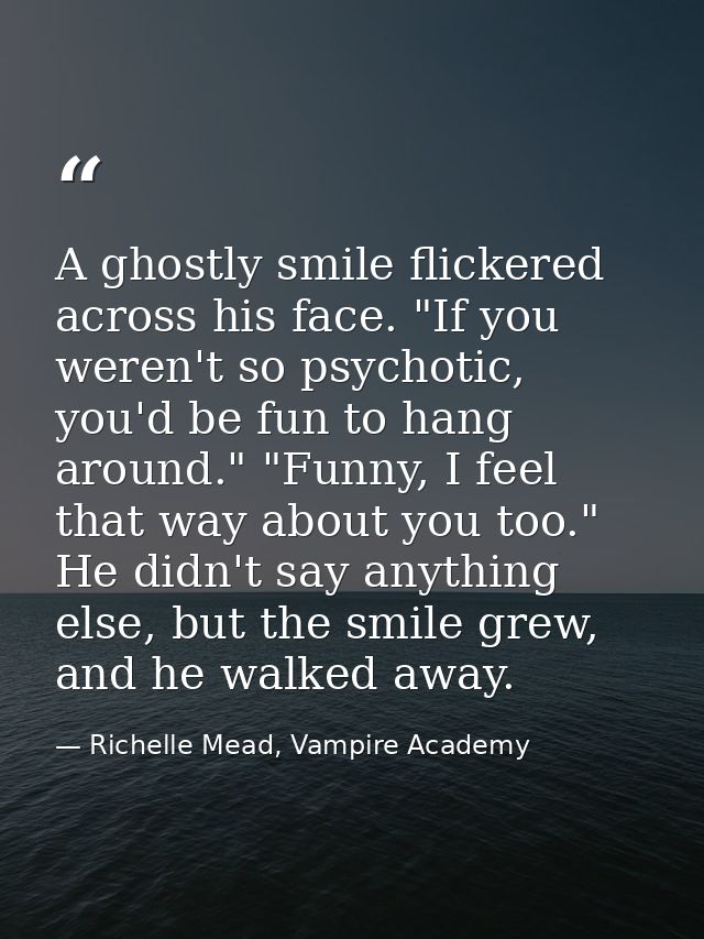 A ghostly smile flickered across his face. "If you weren't so psychotic, you'd be fun to hang around." "Funny, I feel th — Richelle Mead, Vampire Academy