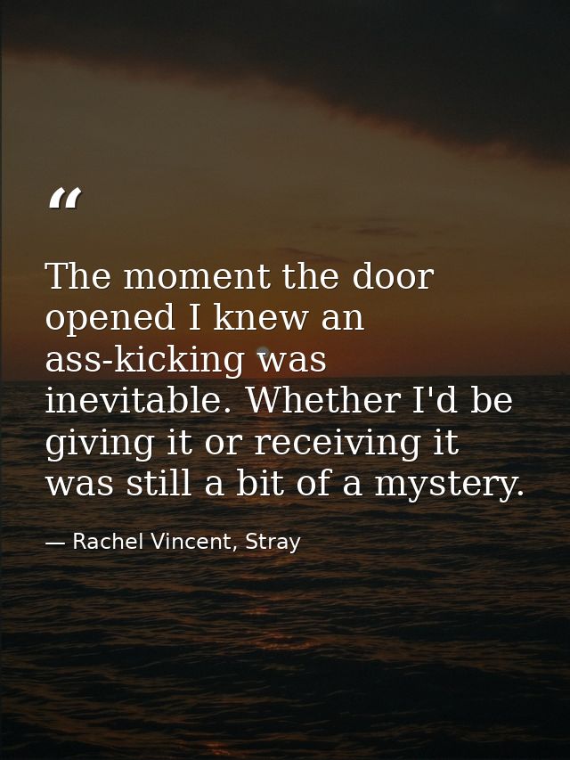The moment the door opened I knew an ass-kicking was inevitable. Whether I'd be giving it or receiving it was still a bi — Rachel Vincent, Stray