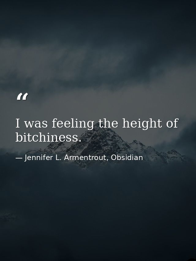 I was feeling the height of bitchiness. — Jennifer L. Armentrout, Obsidian