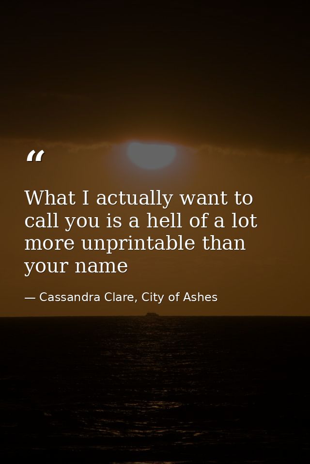 What I actually want to call you is a hell of a lot more unprintable than your name — Cassandra Clare, City of Ashes