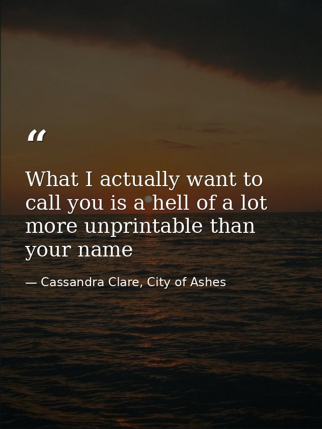 What I actually want to call you is a hell of a lot more unprintable than your name — Cassandra Clare, City of Ashes