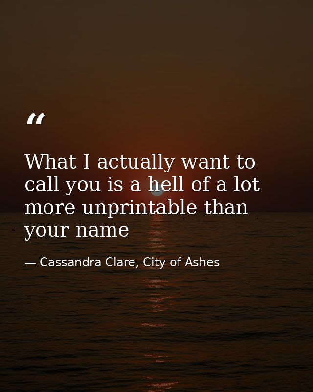 What I actually want to call you is a hell of a lot more unprintable than your name — Cassandra Clare, City of Ashes