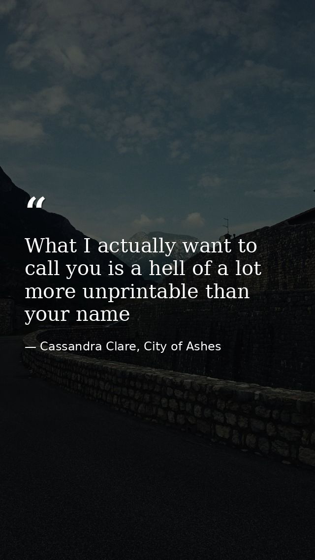 What I actually want to call you is a hell of a lot more unprintable than your name — Cassandra Clare, City of Ashes