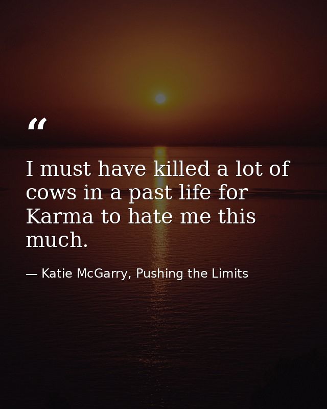 I must have killed a lot of cows in a past life for Karma to hate me this much. — Katie McGarry, Pushing the Limits
