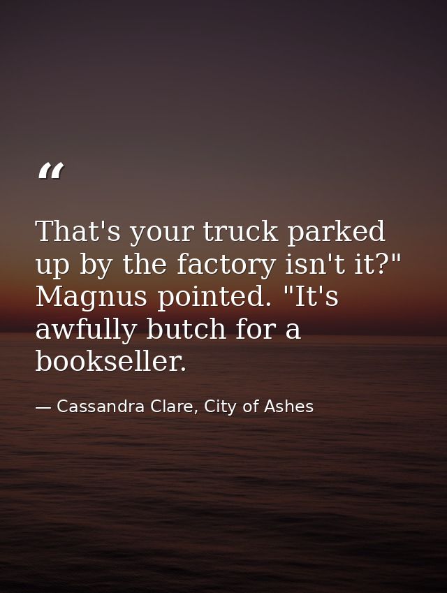 That's your truck parked up by the factory isn't it?" Magnus pointed. "It's awfully butch for a bookseller. — Cassandra Clare, City of Ashes