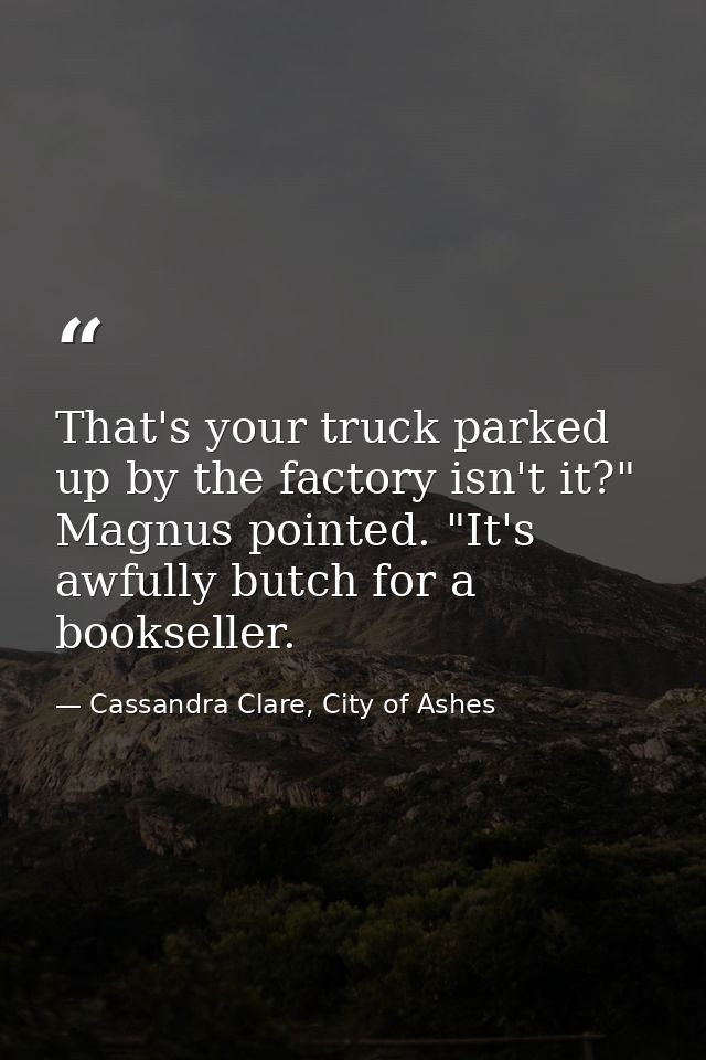 That's your truck parked up by the factory isn't it?" Magnus pointed. "It's awfully butch for a bookseller. — Cassandra Clare, City of Ashes