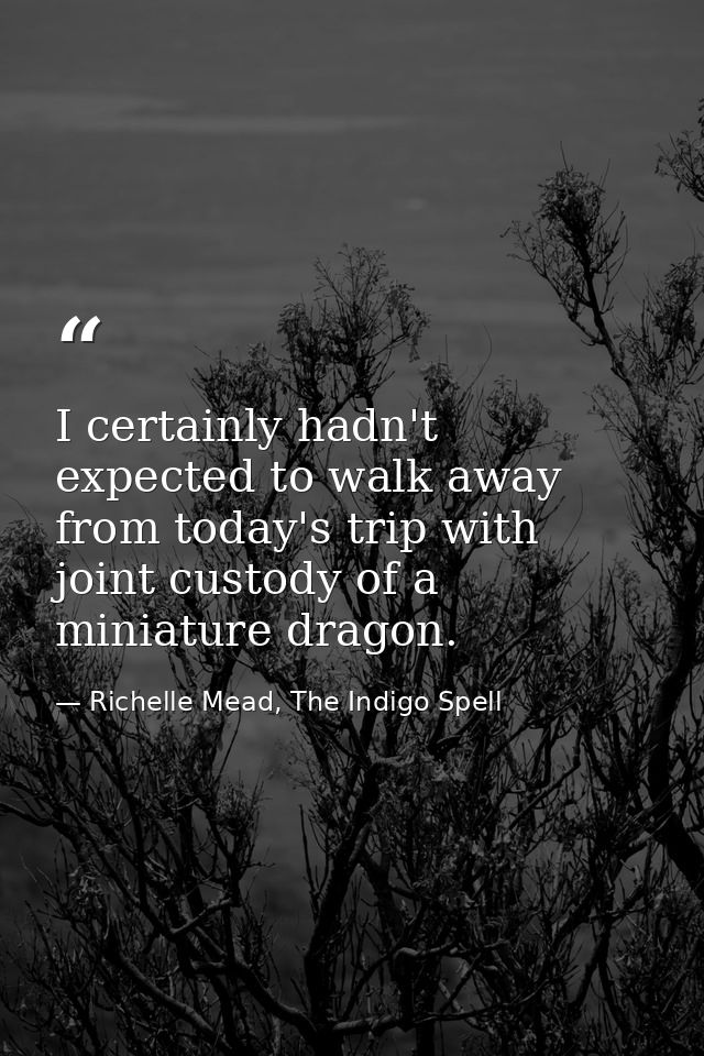 I certainly hadn't expected to walk away from today's trip with joint custody of a miniature dragon. — Richelle Mead, The Indigo Spell