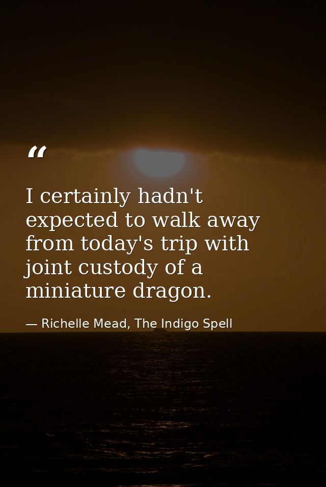 I certainly hadn't expected to walk away from today's trip with joint custody of a miniature dragon. — Richelle Mead, The Indigo Spell