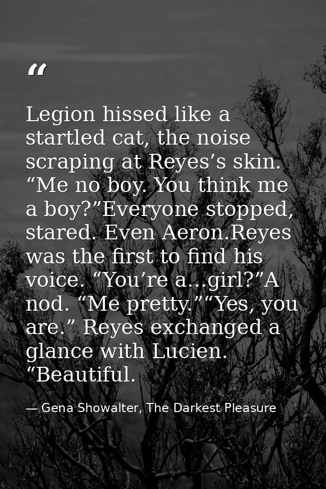 Legion hissed like a startled cat, the noise scraping at Reyes’s skin. “Me no boy. You think me a boy?”Everyone stopped, — Gena Showalter, The Darkest Pleasure