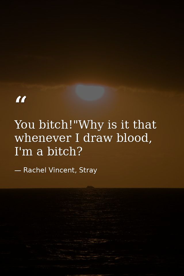 You bitch!"Why is it that whenever I draw blood, I'm a bitch? — Rachel Vincent, Stray