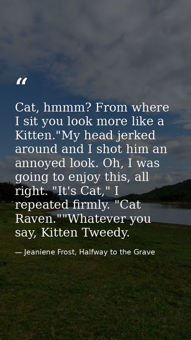 Cat, hmmm? From where I sit you look more like a Kitten."My head jerked around and I shot him an annoyed look. Oh, I was — Jeaniene Frost, Halfway to the Grave