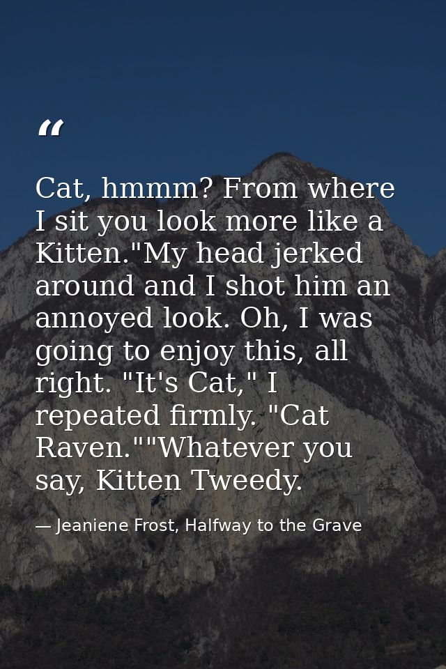 Cat, hmmm? From where I sit you look more like a Kitten."My head jerked around and I shot him an annoyed look. Oh, I was — Jeaniene Frost, Halfway to the Grave