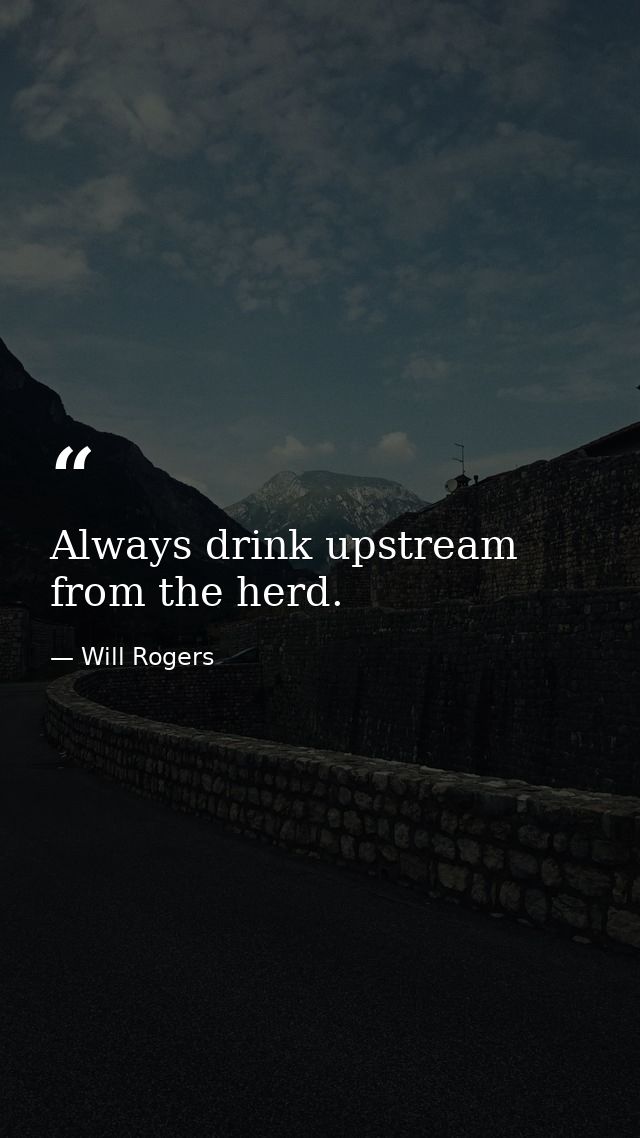 Always drink upstream from the herd. — Will Rogers