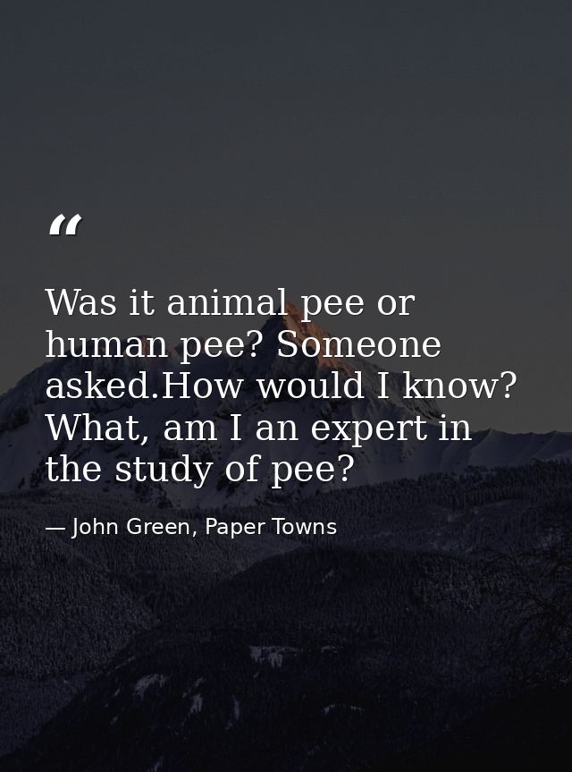 Was it animal pee or human pee? Someone asked.How would I know? What, am I an expert in the study of pee? — John Green, Paper Towns