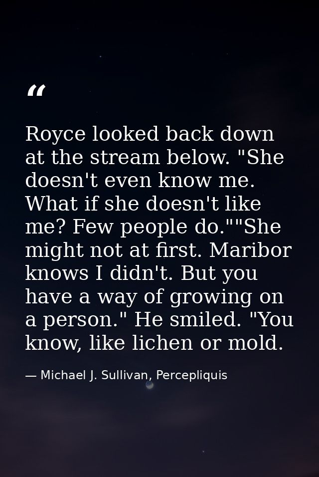 Royce looked back down at the stream below. "She doesn't even know me. What if she doesn't like me? Few people do.""She  — Michael J. Sullivan, Percepliquis